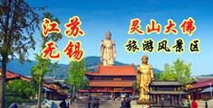 女性被草视频网站江苏无锡灵山大佛旅游风景区